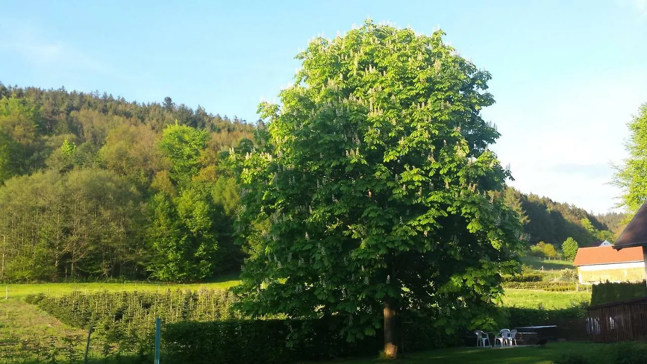 Haus Annemarie Apartment Goldkronach