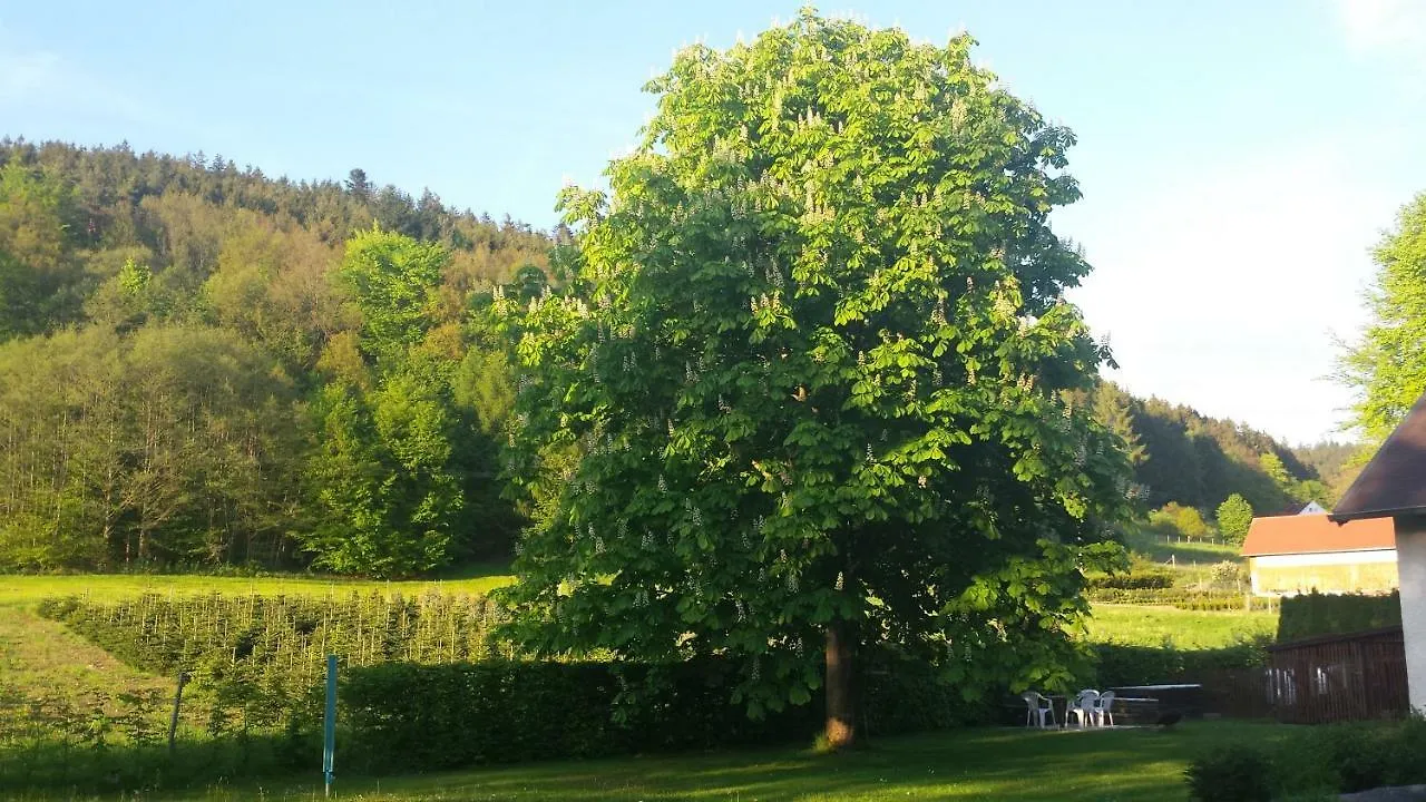 Haus Annemarie Apartment Goldkronach